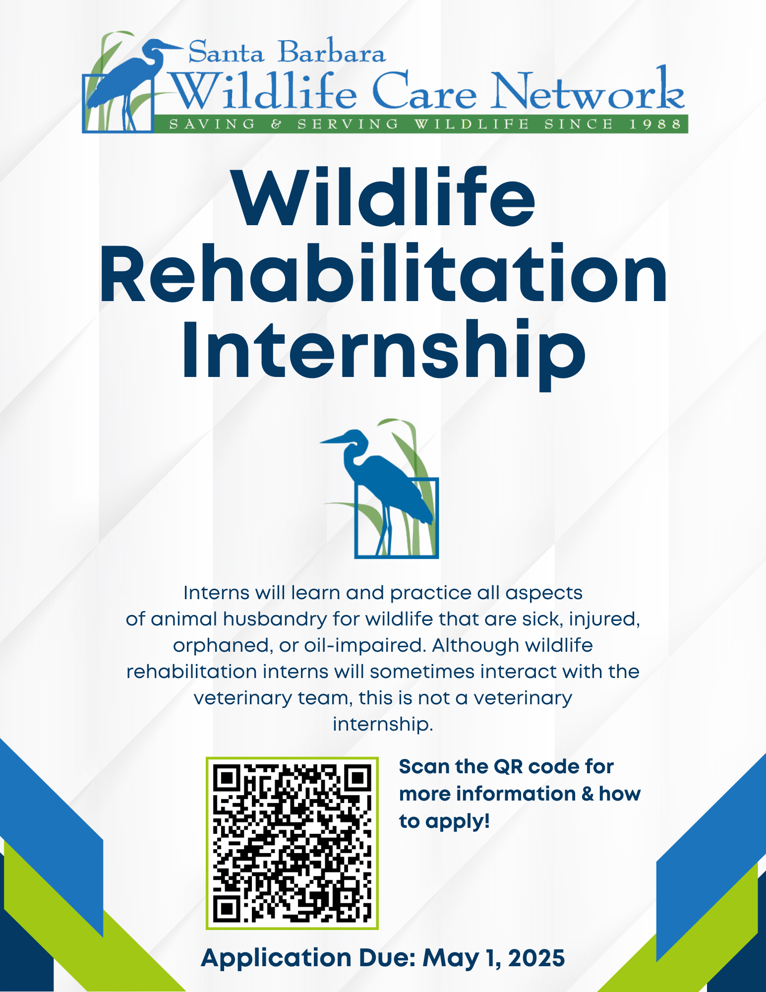 Wildlife Internship